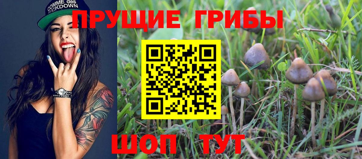 Галлюциногенные грибы мухоморы Минеральные Воды