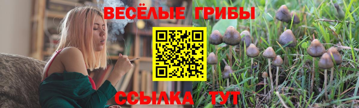 Минеральные Воды  Псилоцибиновые грибы мухоморы  Вход с VPN  Галлюциногенные грибы Cubensis 